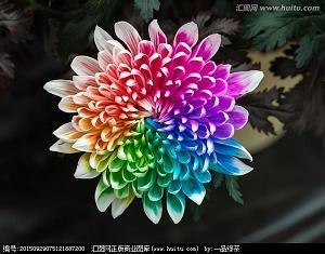 高龄