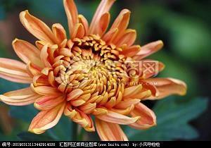 夜晚下雨的说说 下雨的夜晚心情句子