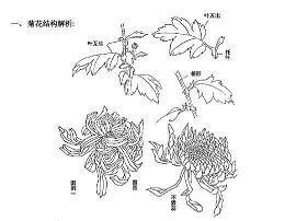 庆贺元旦节温馨祝福语2021年