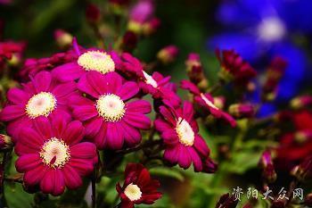香殿