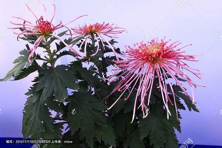 三月再见四月你好朋友圈文案 三月再见四月你好说说句子