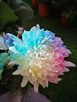 不约而同