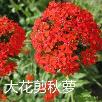 关于人与自然的名人名言
