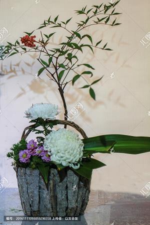 雪景的诗句有哪些_雪景唯美句子