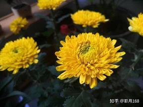 小学一年级的名言警句 名言警句摘抄大全小学一年级