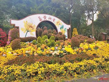炖冻豆腐 绕口令_写愉快心情的句子