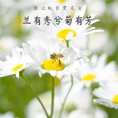 尽智竭力