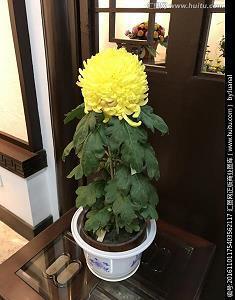 早安幽默高情商的句子抖音短句_2