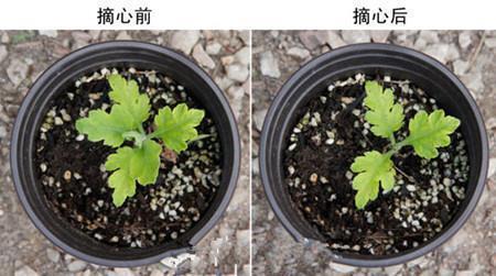 犯错的猎人——不要信任喜新厌旧的人