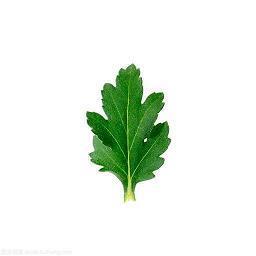 关于新年的征文三篇