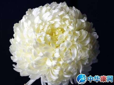 苛例