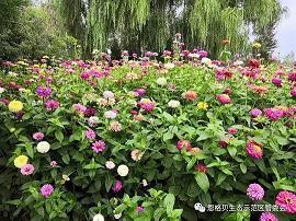 蓝天白云的优美句子49句