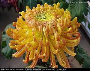 给老师的妇女节贺卡祝福语