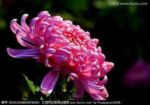 不必完美——戴维·波恩斯