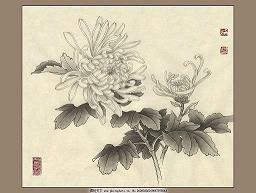 绝望到心死的说说 绝望的句子说说心情