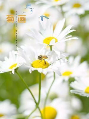 关于尊师的名言警句