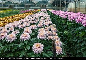 经典的说说 2020年最走心的经典句子