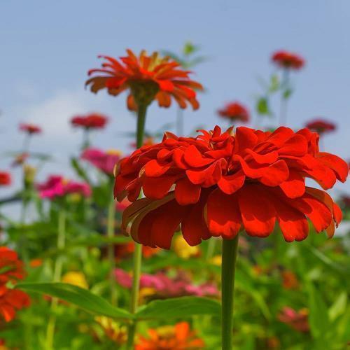 关于落日的唯美句子