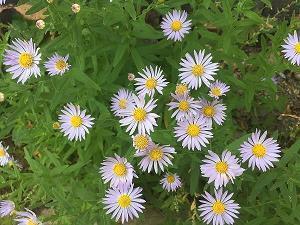 万圣节活动文案朋友圈