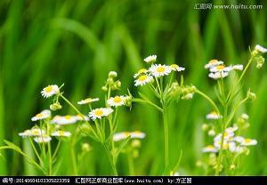 鹤长鳬短