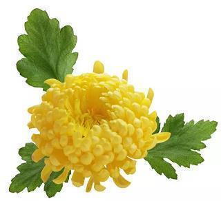 愚人节祝福经典短句
