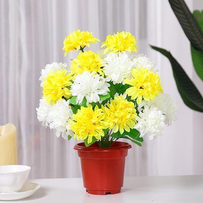 教师节学生祝福语感恩老师的一句话(精选93条)