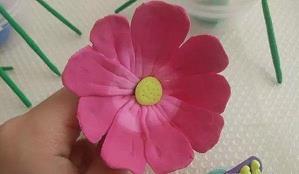 海芋花简介_海的唯美句子