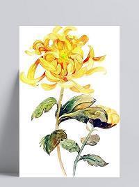 《活 着》读后感 优质作文