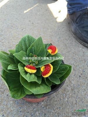 實