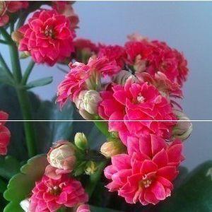 变化无常