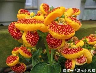 鲁迅先生名言警句