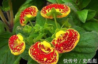 陈毅的诗_描写山脉的诗