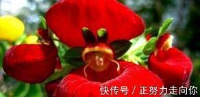 生活坚强的句子说说心情