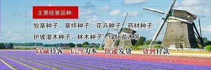 有关除夕祝福的经典句子
