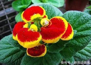 特别走心的干净短句50句