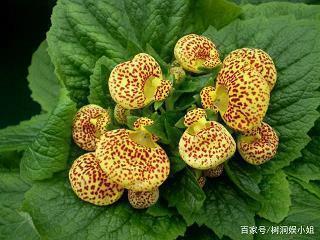 师爷巧断案