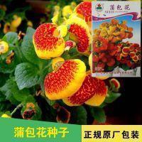 得到与失去的励志句子精选
