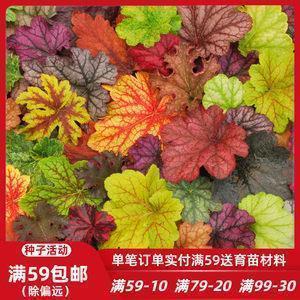 一年级问句十个例子