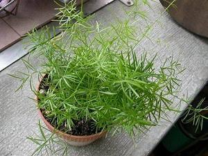 看淡一切善待自己的说说 活好自己不必在乎别人