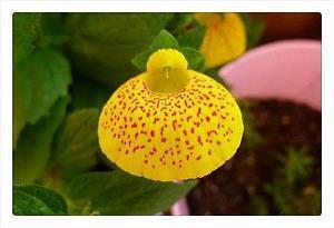 致闺蜜的唯美句子简短