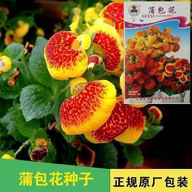 微信扎心的心情短语