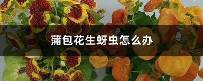 快手热门句子