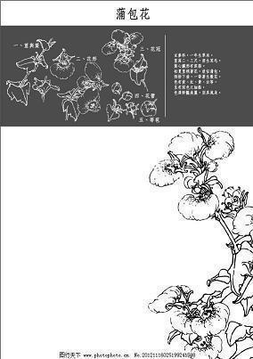 譯