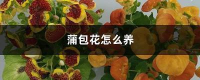适合发朋友圈感慨人生的句子
