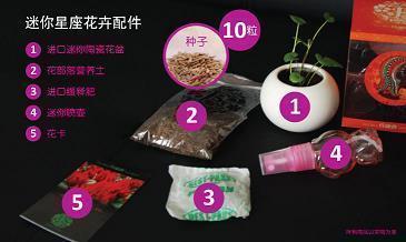 闺蜜过生日说说