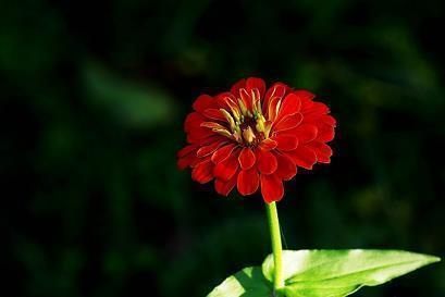 很经典的小故事大道理3则