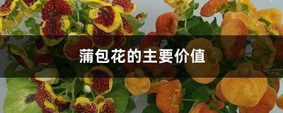 英文感恩老师美句