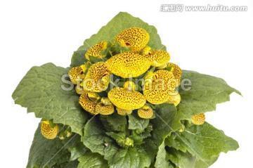 简短的美词佳句 简短的好词好句有哪些？