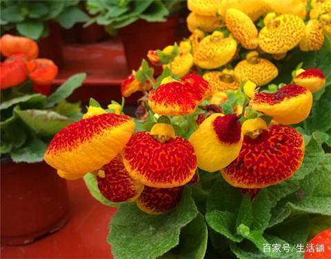 东闪西躲