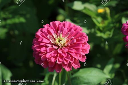 青春展望未来的句子
